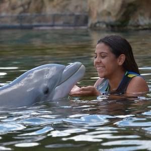 Meet your Posher, Genesis